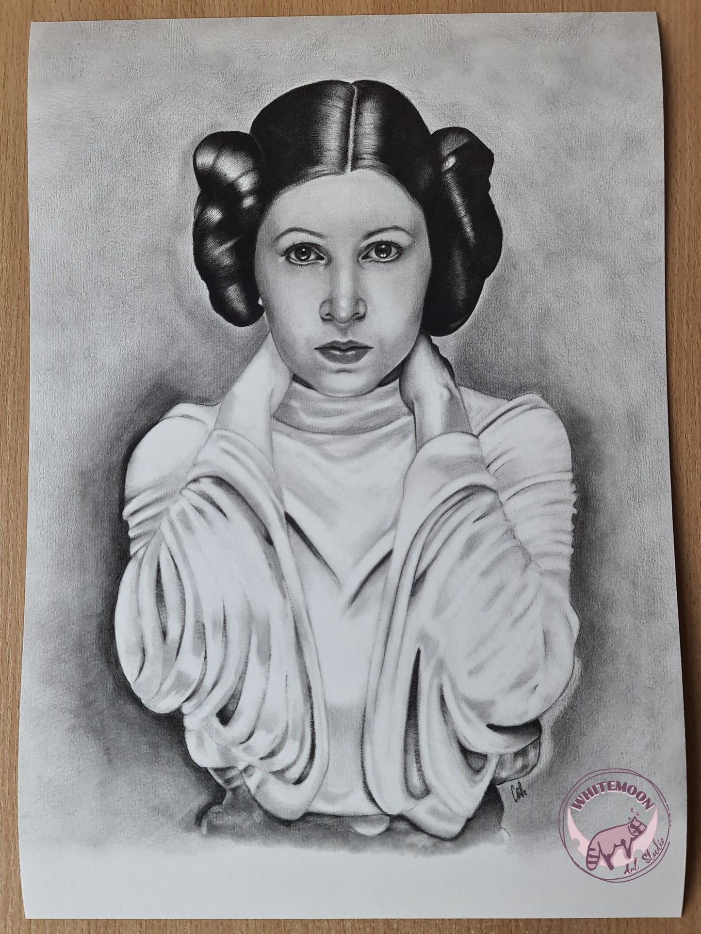 Princess Leia Art Print - The Rebellion Princess